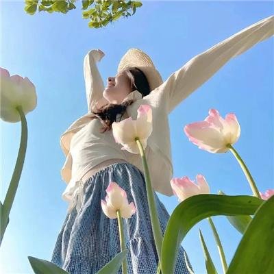 外星第九号计划