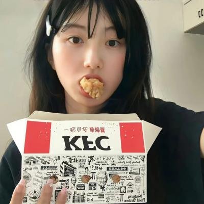 警察日记